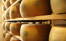 Il Parmigiano Reggiano? una divinità!